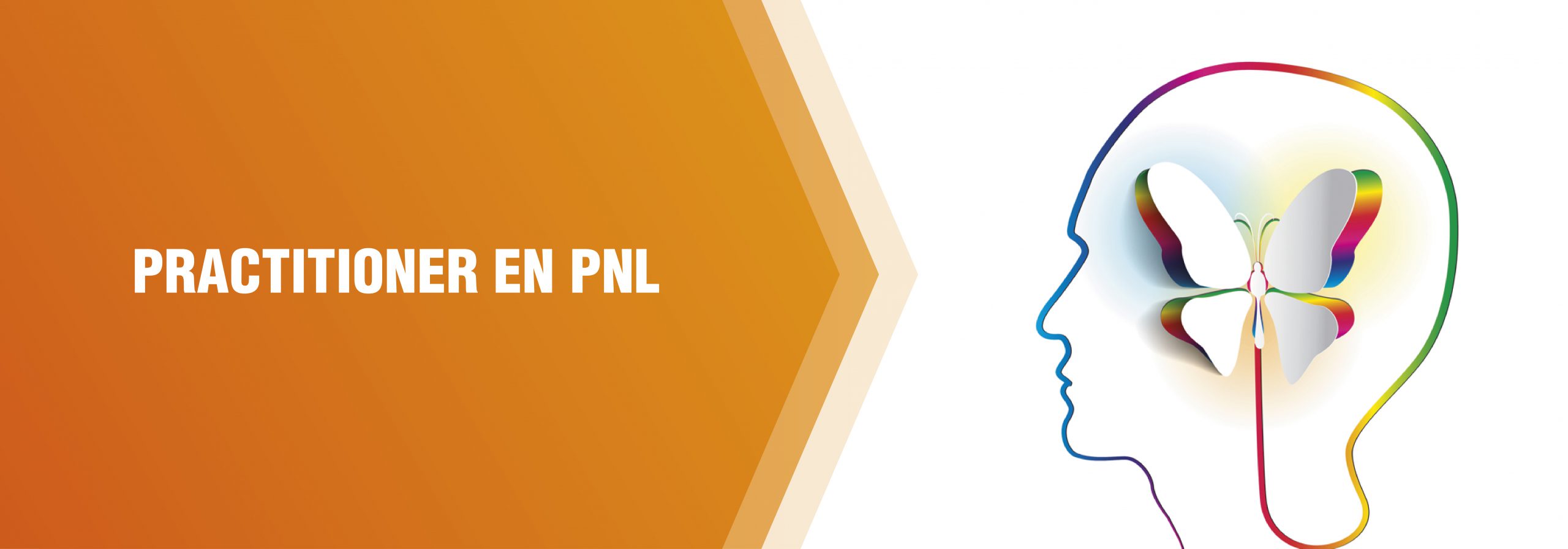 PRACTITIONER EN PNL: Programación Neurolingüística PRACTITIONER EN PNL: Programación Neurolingüística